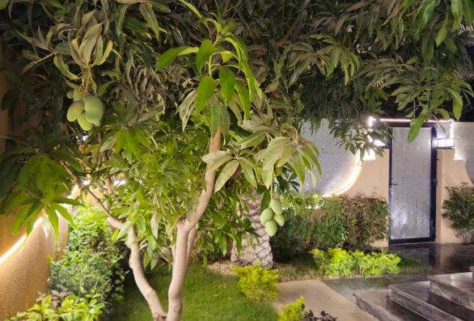 7907536 - صورة العقار 2