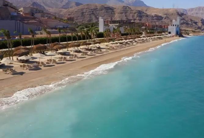 8005271 - صورة العقار 3