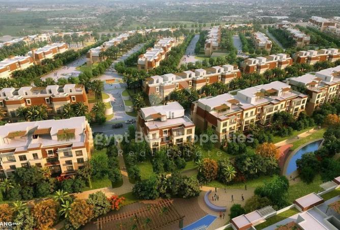 8458027 - Property Image 3