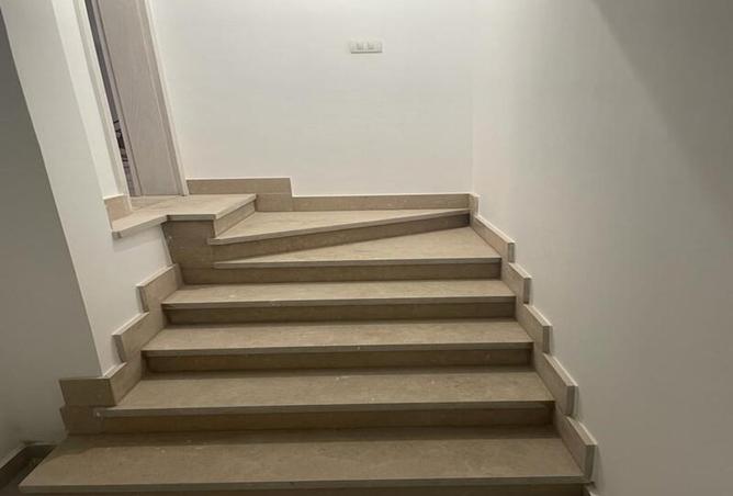 8062303 - Property Image 3