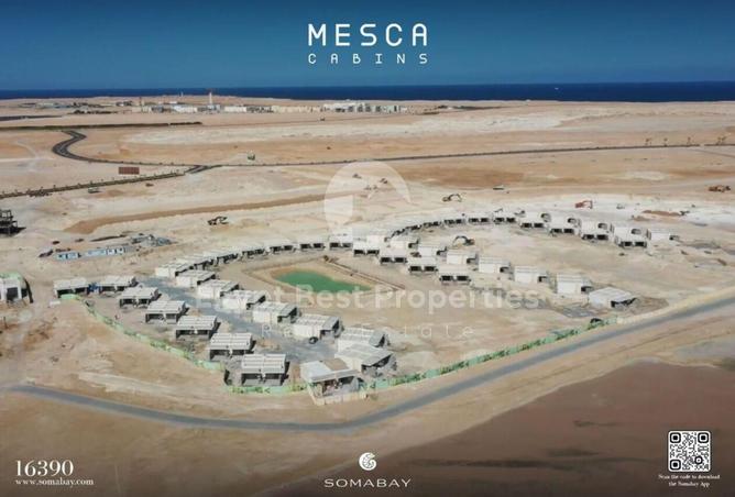 7976770 - Property Image 2