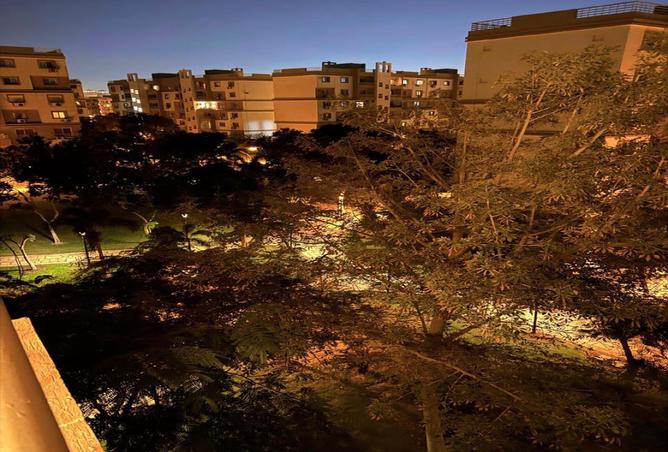 8442461 - Property Image 3