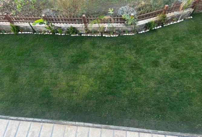 8194615 - Property Image 2