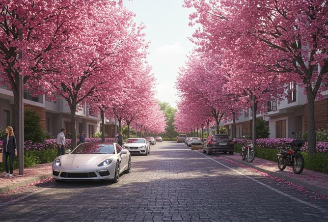 8001353 - صورة العقار 3