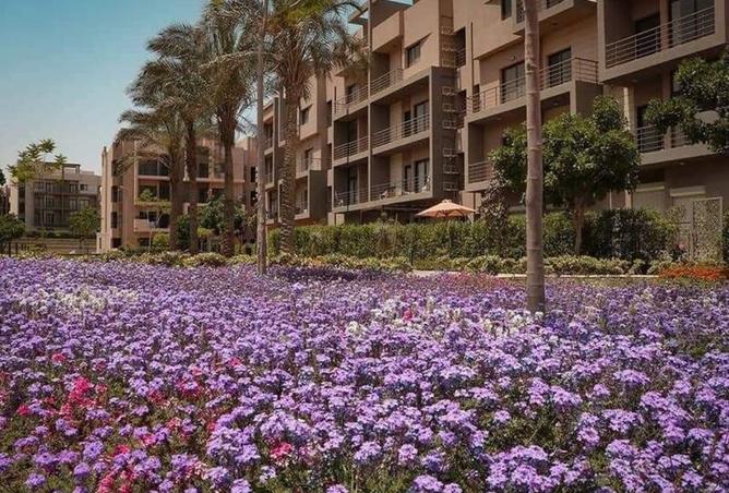 8339670 - صورة العقار 3