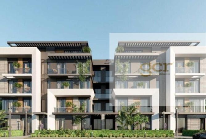 8174461 - Property Image 3