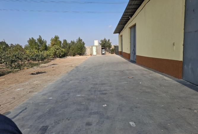 8102547 - صورة العقار 3