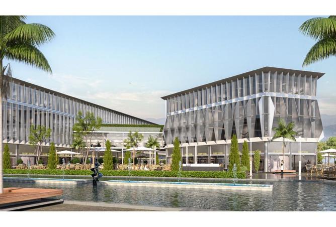 8416528 - Property Image 3