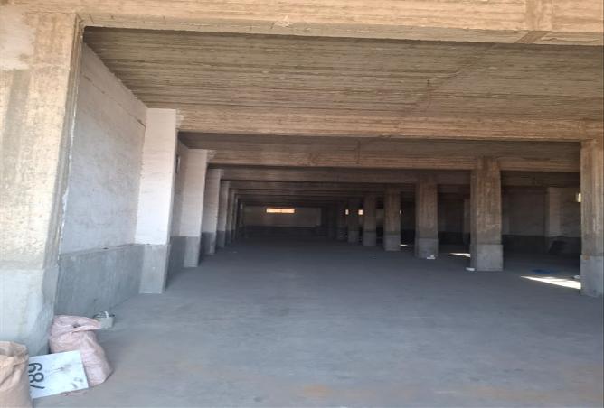 7968384 - صورة العقار 3