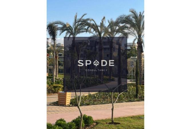 8564455 - Property Image 3