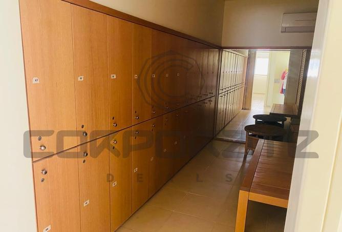 7982271 - Property Image 3