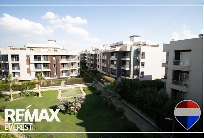 8267628 - Property Image 3