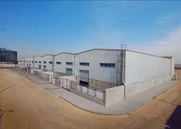 Land for للبيع in Anshas - Belbis - Sharqia
