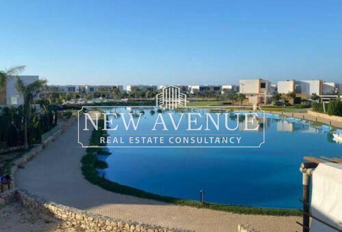 8251849 - صورة العقار 3