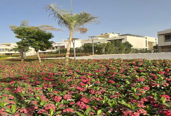 7980335 - صورة العقار 3