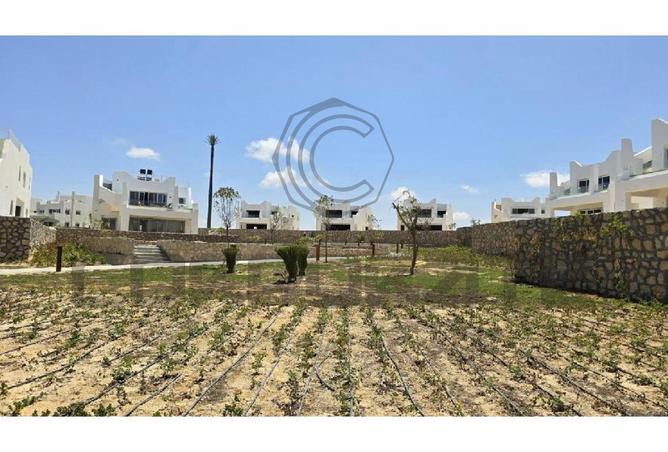 8170944 - Property Image 3