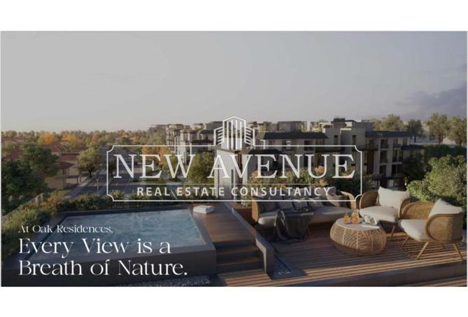 8252063 - Property Image 3