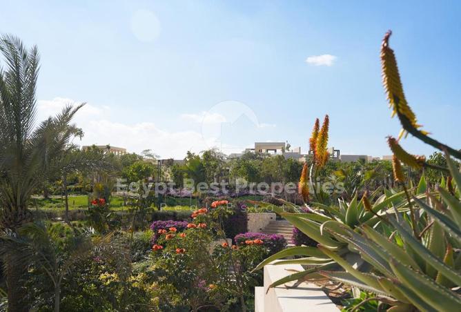 8540646 - صورة العقار 2