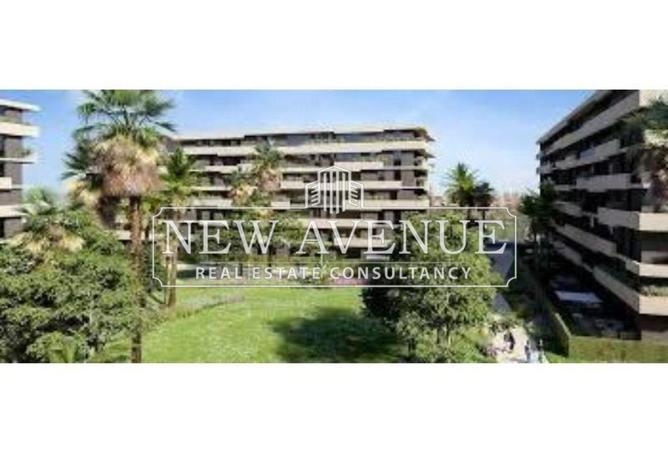 8219974 - Property Image 3