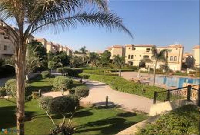 7986157 - صورة العقار 3
