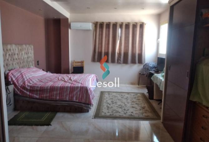 8138262 - Property Image 2
