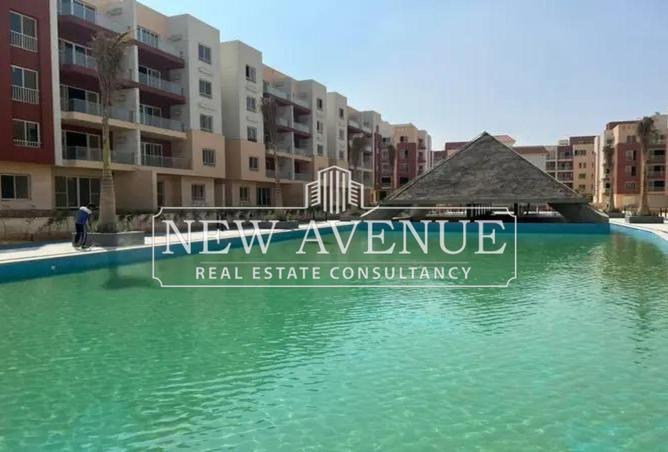 8429504 - Property Image 3