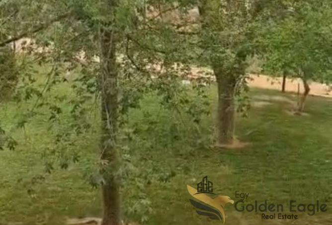 8109705 - الصورة الرئيسية للعقار