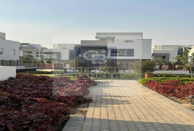 7973820 - صورة العقار 3