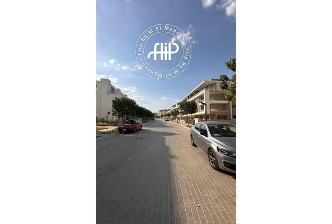 8115551 - Property Image 3