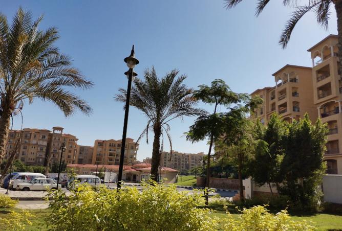 8190831 - صورة العقار 2