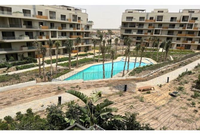 8316156 - Property Image 3