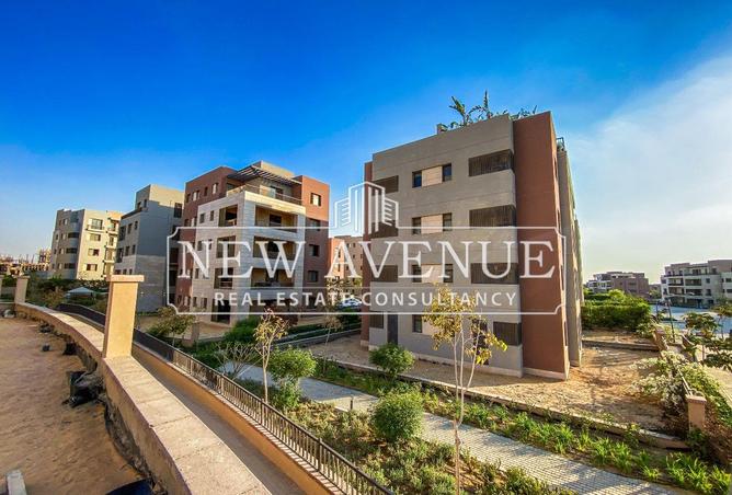 8310017 - صورة العقار 3