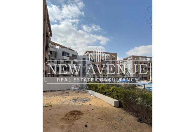 8226678 - Property Image 3