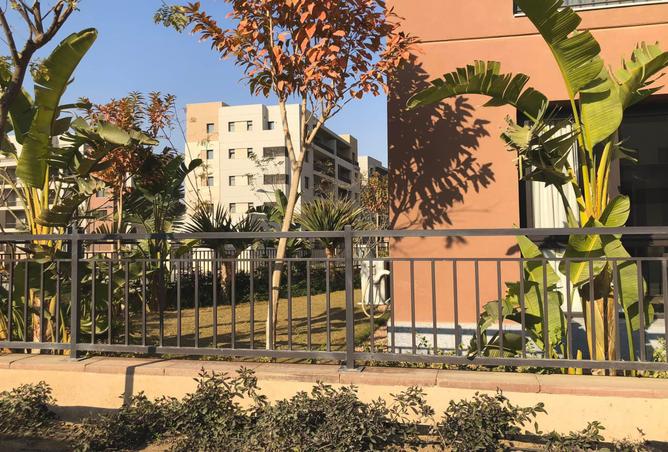7995277 - الصورة الرئيسية للعقار