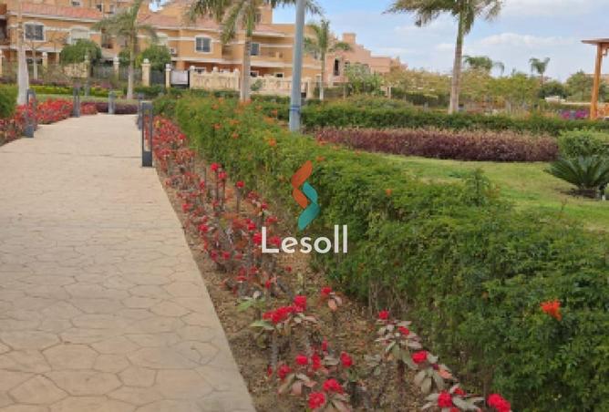 8095164 - Property Image 3