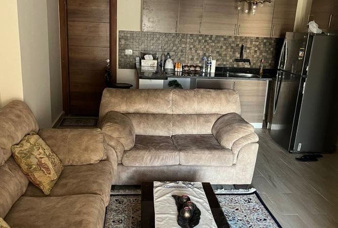 8355247 - Property Image 2