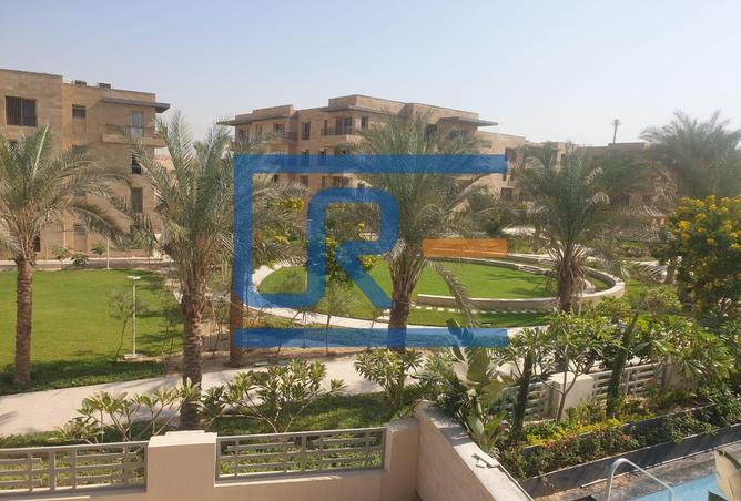 7981880 - صورة العقار 3
