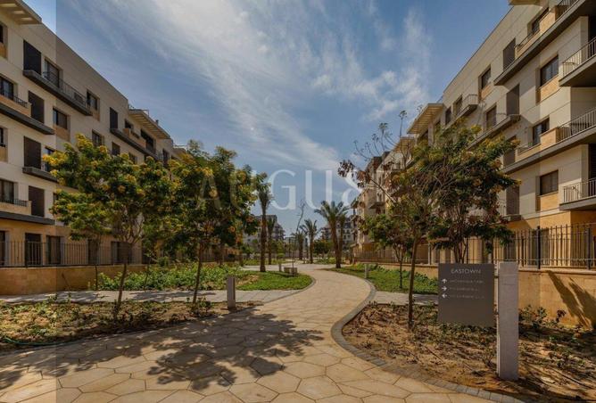 8269258 - Property Image 3