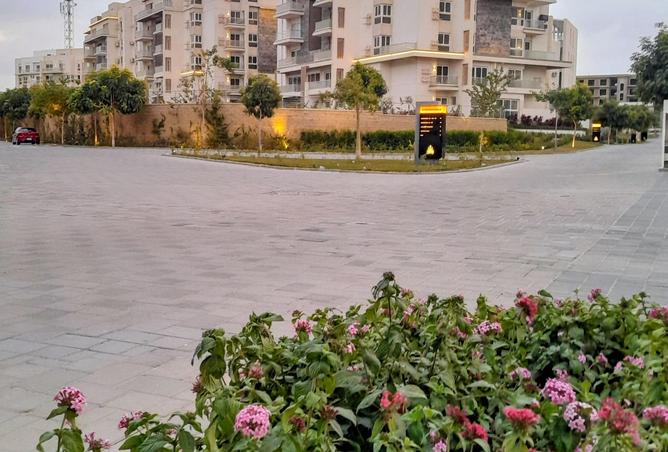 8539329 - Property Image 3