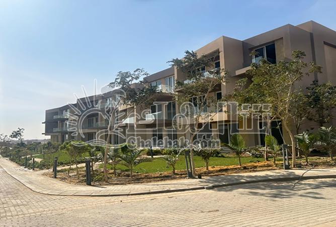 8431339 - صورة العقار 3