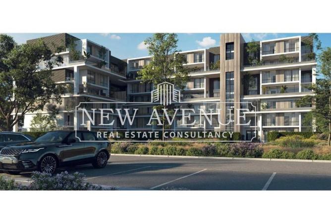 7923281 - Property Image 2