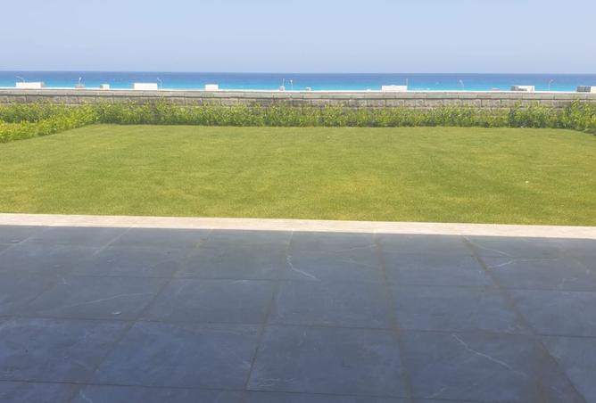 8082579 - صورة العقار 2