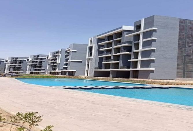 8370382 - Property Image 3