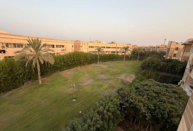 8243981 - Property Image 3