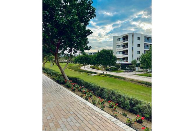 8178951 - صورة العقار 2