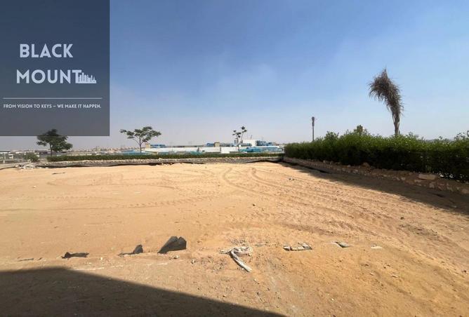 8118470 - Property Image 3