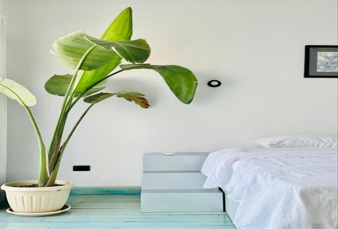 8211732 - الصورة الرئيسية للعقار