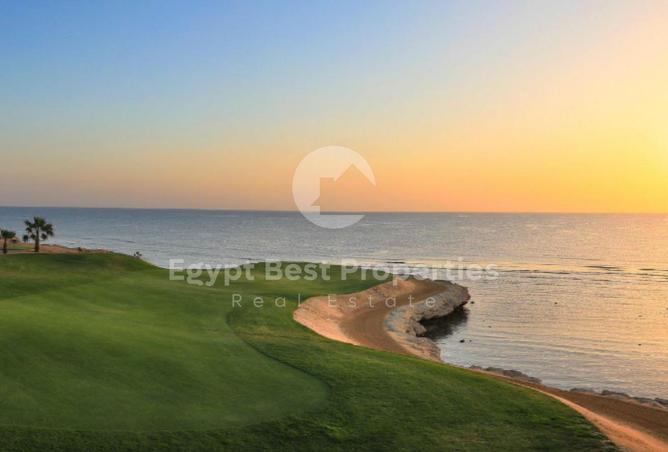 8110432 - Property Image 3