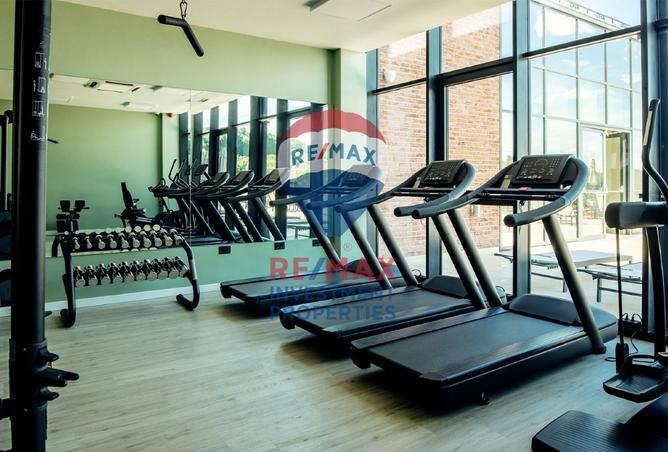 8208939 - Property Image 3