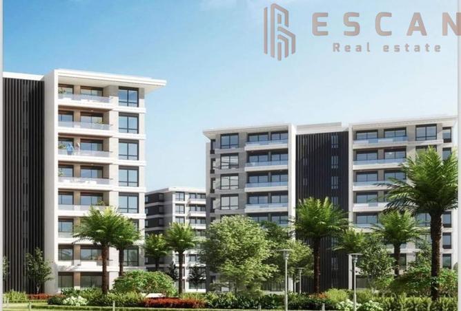 8146300 - Property Image 2
